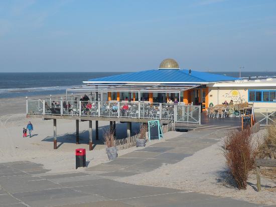 Time-out Met Zonnig Terras, Eigen Keuken, Dichtbij Dorp, Duinen, En Vuurtoren , Incl Verwarmd Hotel-zwembad